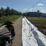 Đất bán 300m² Lê Hồng Phong P8 Bình Tân 400 triệu - Ảnh thu nhỏ 3