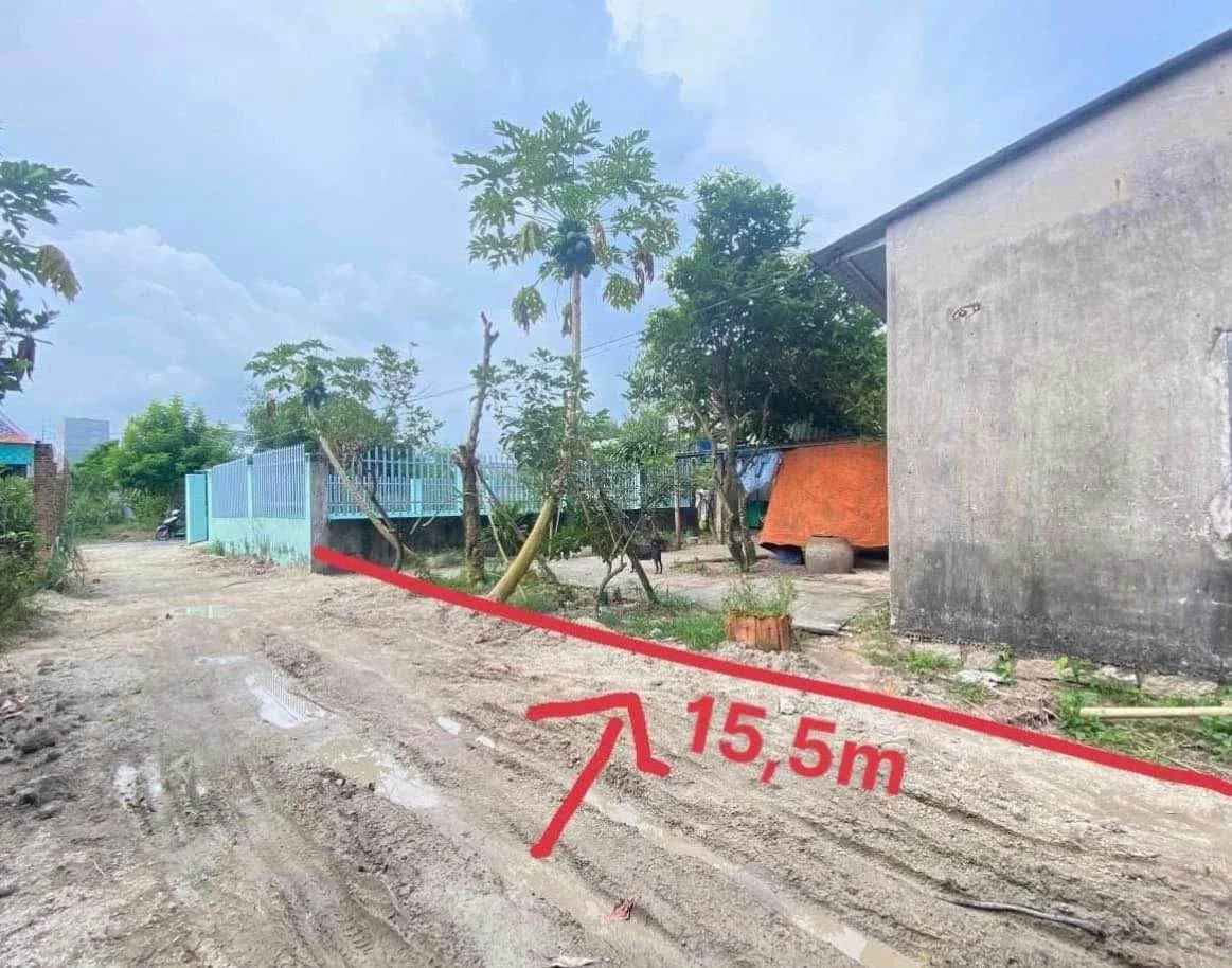 Bán nhà cũ 500m² Thị Vải, Mỹ Xuân, Phú Mỹ, BRVT - Ảnh 1