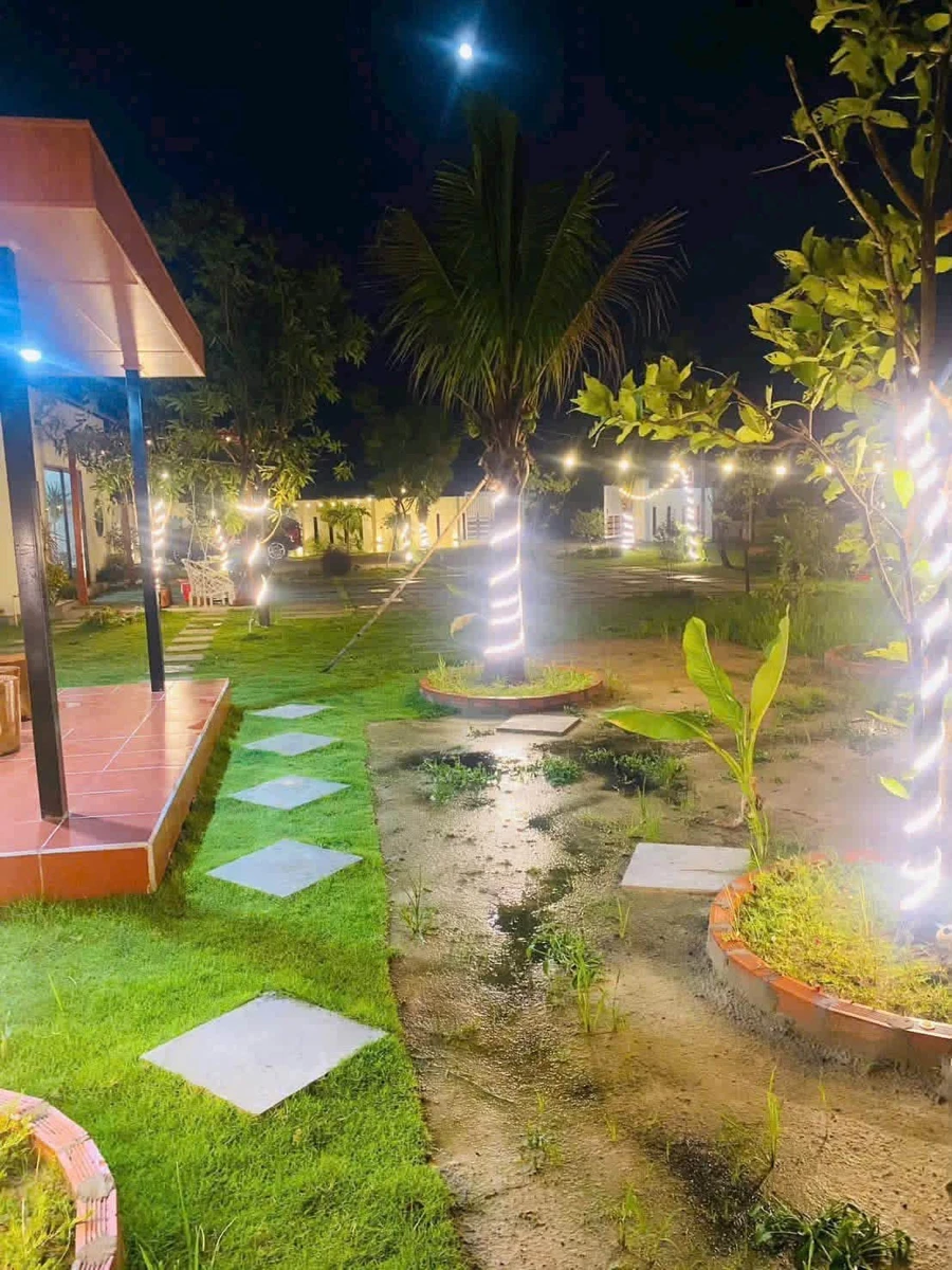 Bán nhà vườn 1800m2 có vườn cây ăn trái, Phan Thiết, 2.2 tỷ - Ảnh thu nhỏ 5