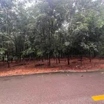 Bán đất mặt tiền 20x60m Phú Giáo Bình Dương - Ảnh thu nhỏ 1