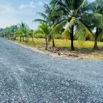 Bán đất tổ cư 65m² Gia Lộc Tây Ninh 5xx triệu - Ảnh thu nhỏ 3