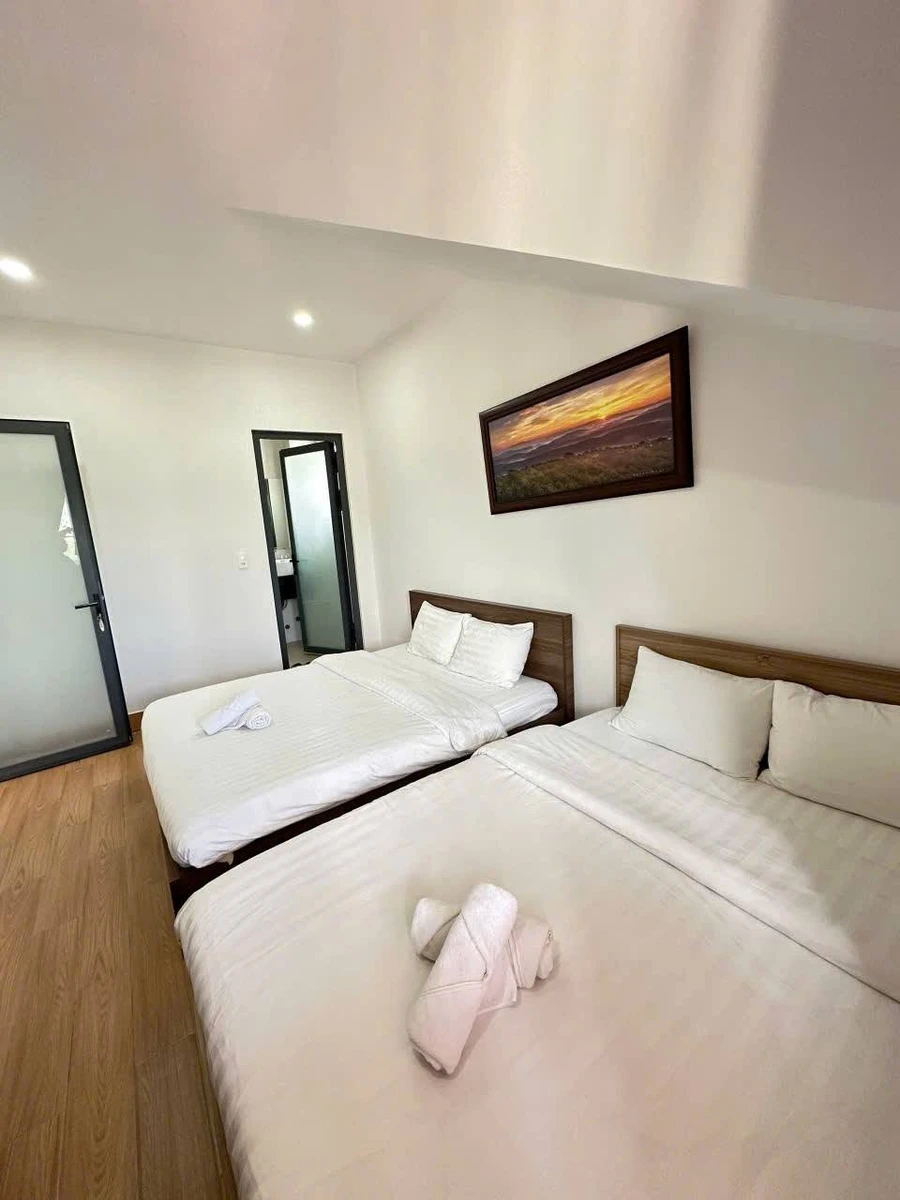 Bán villa Nguyễn Trung Trực Đà Lạt 200m² 15 tỷ - Ảnh thu nhỏ 3