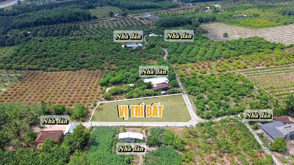 Bán đất 155m² Trương Mít Tây Ninh 209 triệu - Ảnh thu nhỏ 3