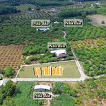 Bán đất 155m² Trương Mít Tây Ninh 209 triệu - Ảnh thu nhỏ 3