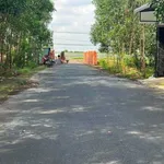 Bán đất thổ cư 100m² sổ riêng ở Tấm Phước, Đồng Nai - 820 triệu - Ảnh thu nhỏ 2