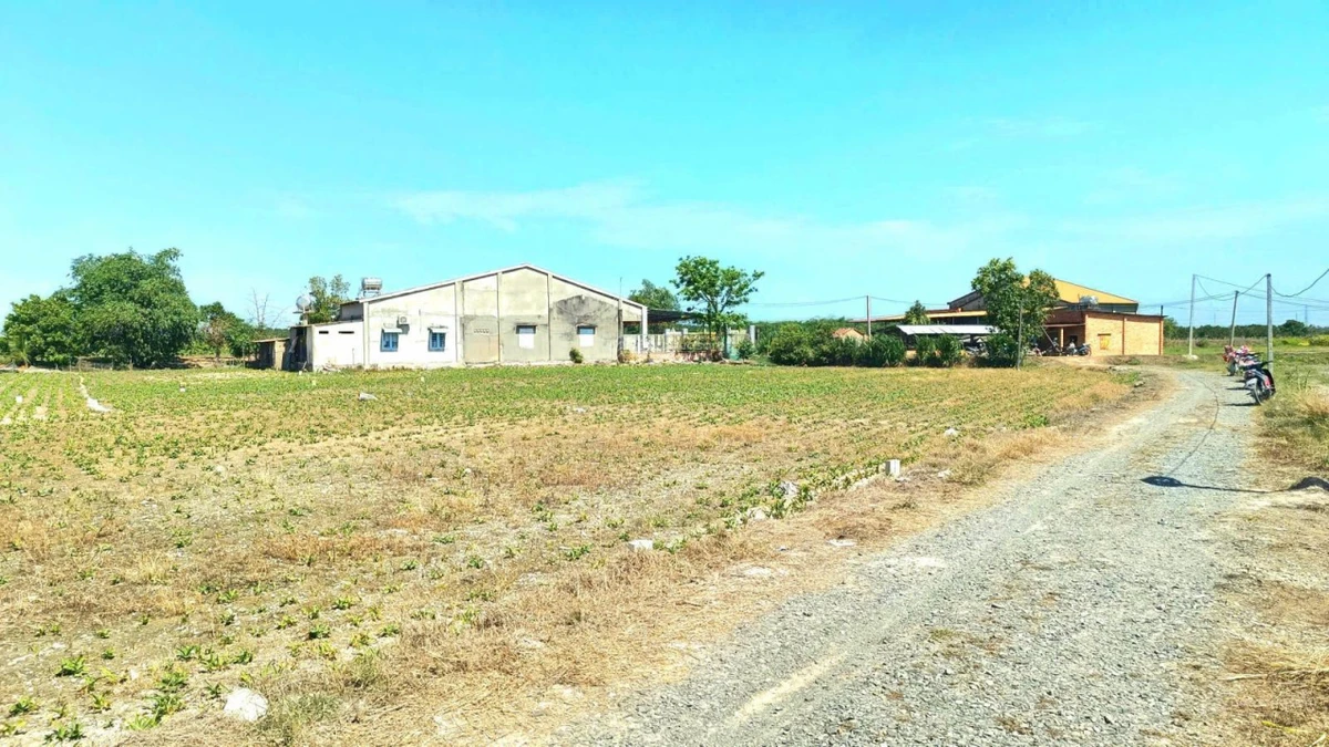240tr, Đất full thổ cư Truông Mít, Tây Ninh 5x33m sát nhựa thông - Ảnh thu nhỏ 2