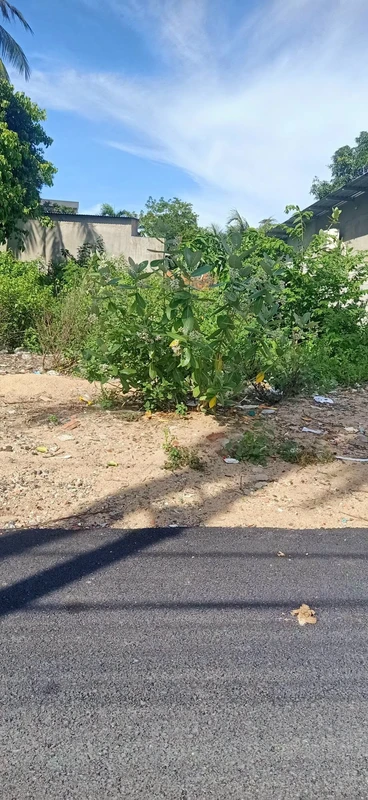 Bán đất Cam Phúc Nam Cam Ranh 203m² 1 tỷ 7
