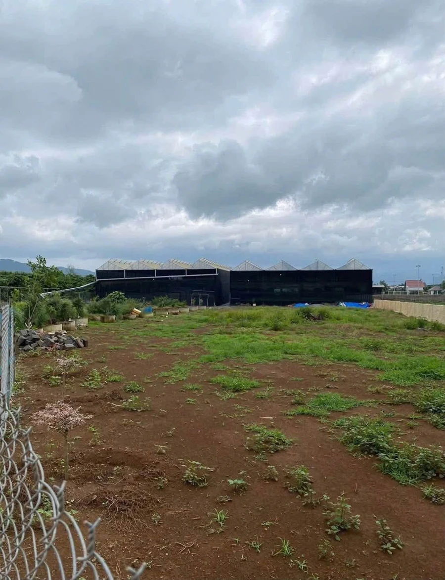 Bán đất Bình Thạnh 8.5 sào (8500m²) 8 tỷ 6 - Ảnh thu nhỏ 2