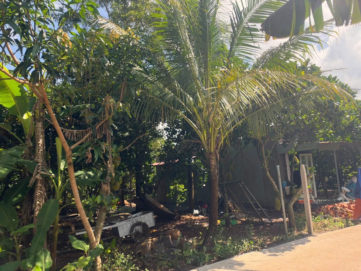 Bán đất vườn 500m² Bảo Vinh, Đồng Nai, giá 650 triệu - Ảnh thu nhỏ 2