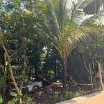 Bán đất vườn 500m² Bảo Vinh, Đồng Nai, giá 650 triệu - Ảnh thu nhỏ 2