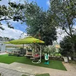 Bán đất 1.687m² mặt tiền 12m Đà Lạt 13,5 tỷ - Ảnh thu nhỏ 5