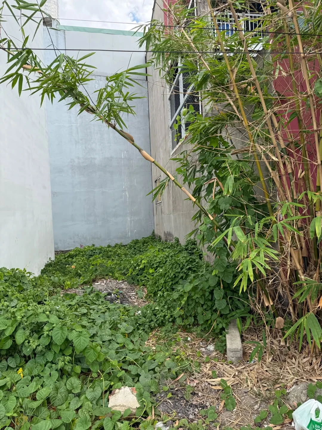 Bán đất 88m2 đường Thạnh Xuân 24, Quận 12, giá nhỉnh 4 tỷ - Ảnh 1