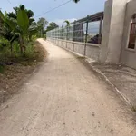 Bán 1.200m² đất thổ cư và cây trồng Bình Thuận - Ảnh thu nhỏ 1