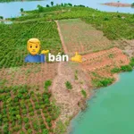 Bán đất view hồ ở Đăk Hà, Kon Tum - Ảnh thu nhỏ 4
