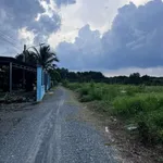 Bán đất vườn 1.172m² Tân Uyên Bình Dương 4 tỷ - Ảnh thu nhỏ 4