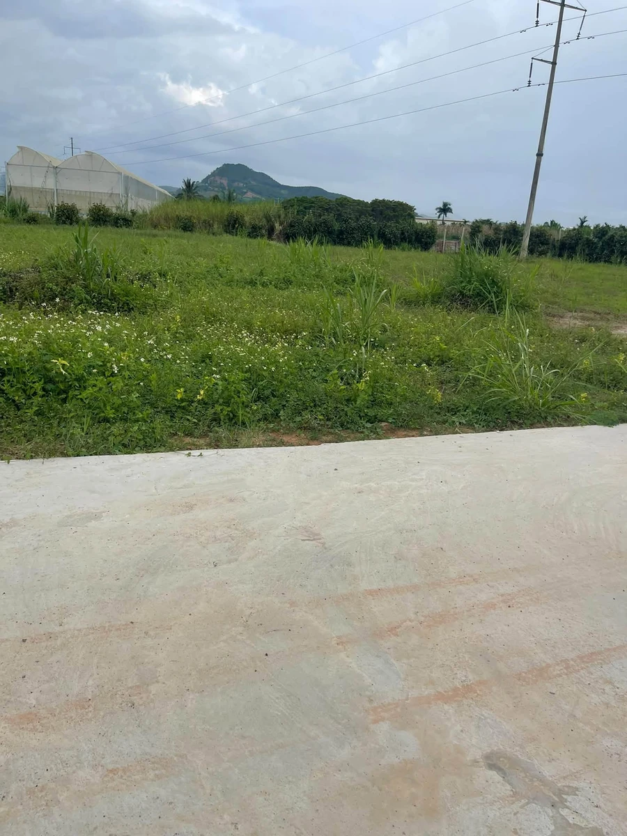 Bán đất ven Đà Lạt 75m² 420 triệu Đức Trọng - Ảnh thu nhỏ 5