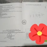 Bán nhà 5x20 (100m²) kinh doanh Mỹ Phước 1 giá 4.4 tỷ - Ảnh thu nhỏ 3