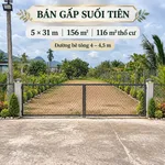 Bán gấp đất 156m2 (thổ cư 116m2) khu Suối Tiên giá 650 triệu - Ảnh thu nhỏ 2