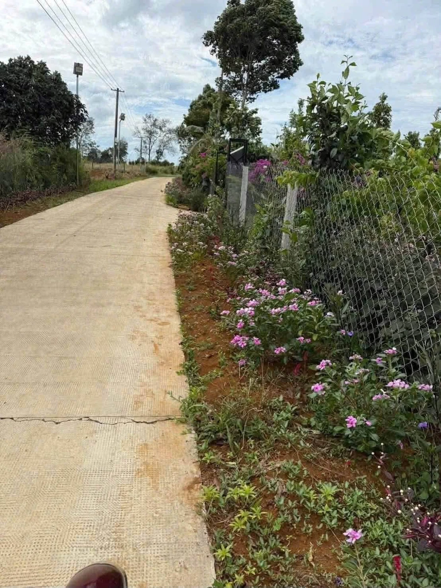 Bán lô đất nền Tân Bình 600m² - Ảnh thu nhỏ 4