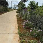 Bán lô đất nền Tân Bình 600m² - Ảnh thu nhỏ 4