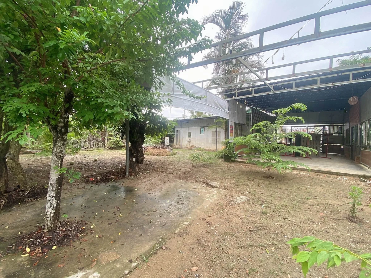 Bán đất mặt tiền Thanh Hà Huế 304m² view sông Hương - Ảnh thu nhỏ 3