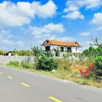 Bán đất 537m2 xã Phước Hải gần biển, Cần Giờ - Ảnh thu nhỏ 3
