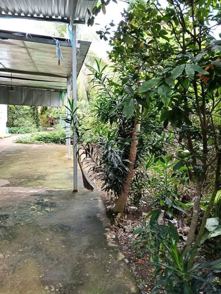 Bán đất 813.9m² khu công nghiệp Giao Long, Vĩnh Long 1.5 tỷ - Ảnh thu nhỏ 3