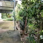 Bán đất 813.9m² khu công nghiệp Giao Long, Vĩnh Long 1.5 tỷ - Ảnh thu nhỏ 3