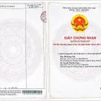 Bán đất đấu giá, sổ đỏ chính chủ DT gần 250m2 - Ảnh thu nhỏ 6