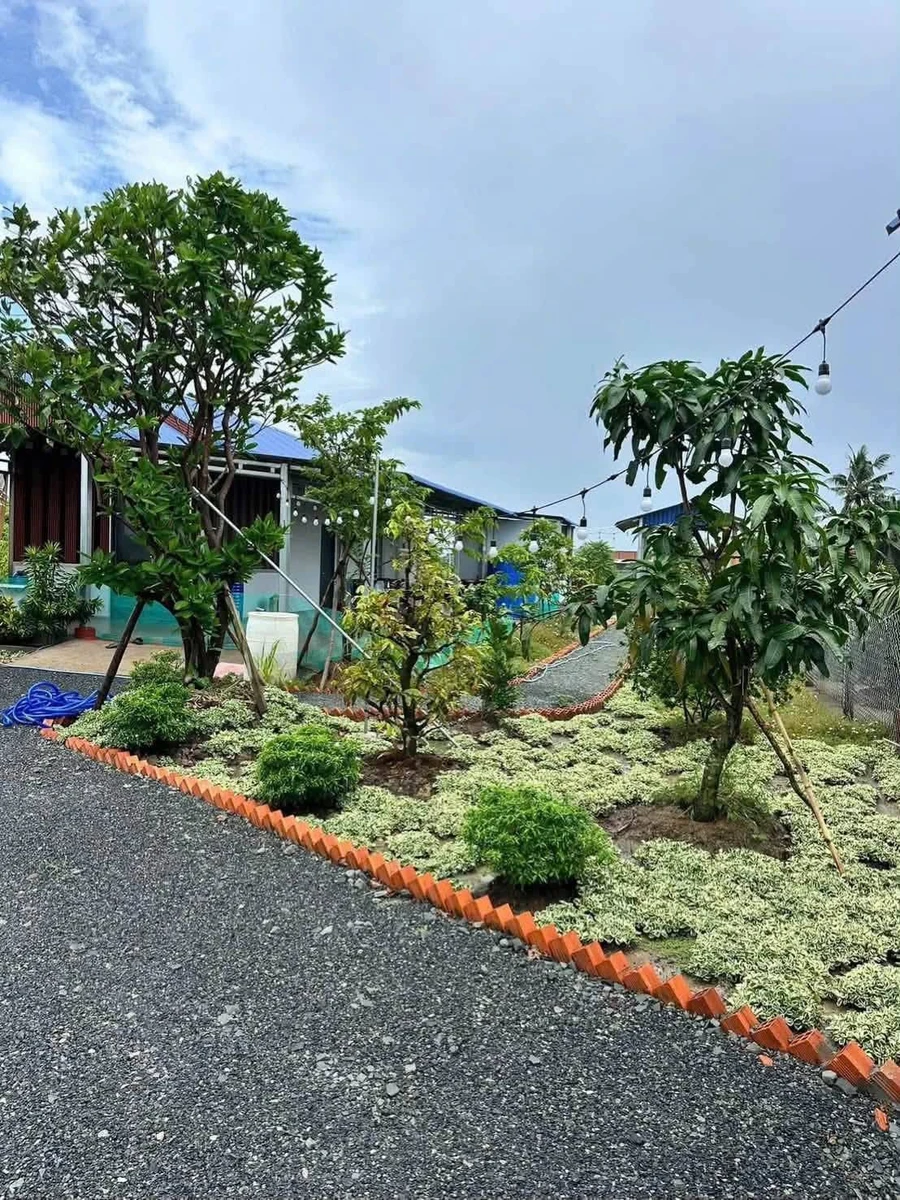 Bán nhà vườn 2PN, 952m² Hoà Phú, Châu Thành, Long An - 1 tỷ 350 - Ảnh thu nhỏ 5