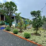 Bán nhà vườn 2PN, 952m² Hoà Phú, Châu Thành, Long An - 1 tỷ 350 - Ảnh thu nhỏ 5