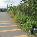 Bán đất thổ cư 7x44 đường nhựa 6m giá 2 tỷ gần chợ Thùng Thơ, Phường Phú An - Ảnh thu nhỏ 3