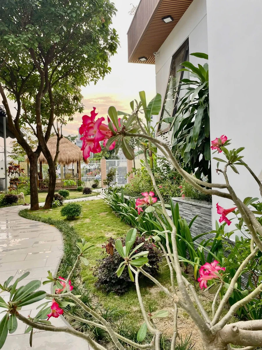 Cho thuê biệt thự sân vườn 350m2, 4 PN ở Sơn Trà gần biển - Ảnh thu nhỏ 3