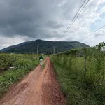 Bán đất Tây Ninh 150m2 giá 299 triệu - Ảnh thu nhỏ 1