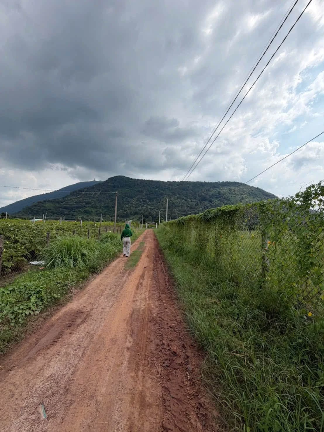 Bán đất Tây Ninh 150m2 giá 299 triệu - Ảnh 1