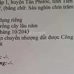 Bán đất tại Xã Tân Lập 1, Huyện Tân Phước, Tiền Giang, 6,9 tỷ, 7000 m2 hàng hiếm giá tốt - Ảnh thu nhỏ 3