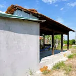 Bán nhà vườn đường nhựa 4m, 743m2, giá 850 triệu tại Phường Tân Ninh, Tây Ninh - Ảnh thu nhỏ 4