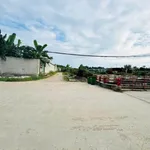 Bán lô đất 500m² sổ riêng Đô Lương, Bình Tân - Ảnh thu nhỏ 3