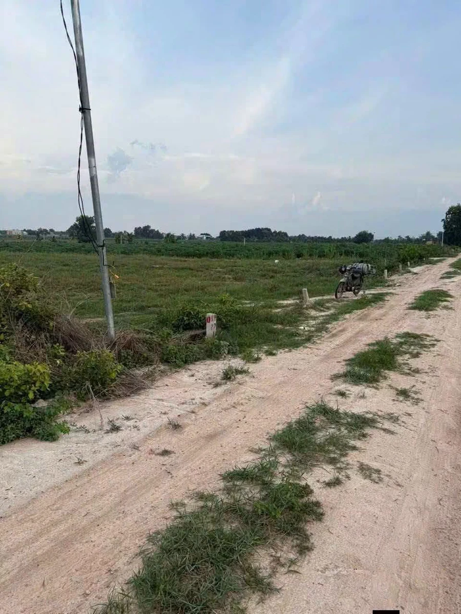 Bán đất thổ cư Mỏ Công 175m² 119 triệu Tây Ninh - Ảnh thu nhỏ 3