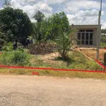 Bán đất 7x40m (50m2 thổ cư) MT Thạnh Bình, Gò Cát, Tân Biên, Tây Ninh - Ảnh thu nhỏ 4