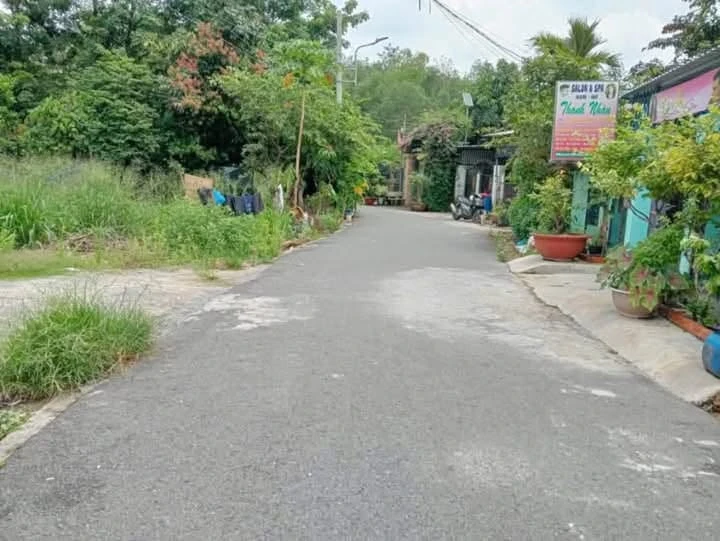 Bán lô đất 10x53m Phú An, Thủ Đức 2,3 tỷ - Ảnh thu nhỏ 2
