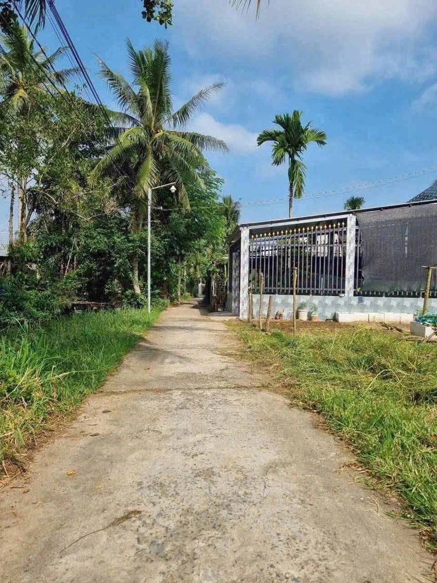 Bán đất Phú Hưng Bến Tre 231m² 1,2 tỷ - Ảnh 1