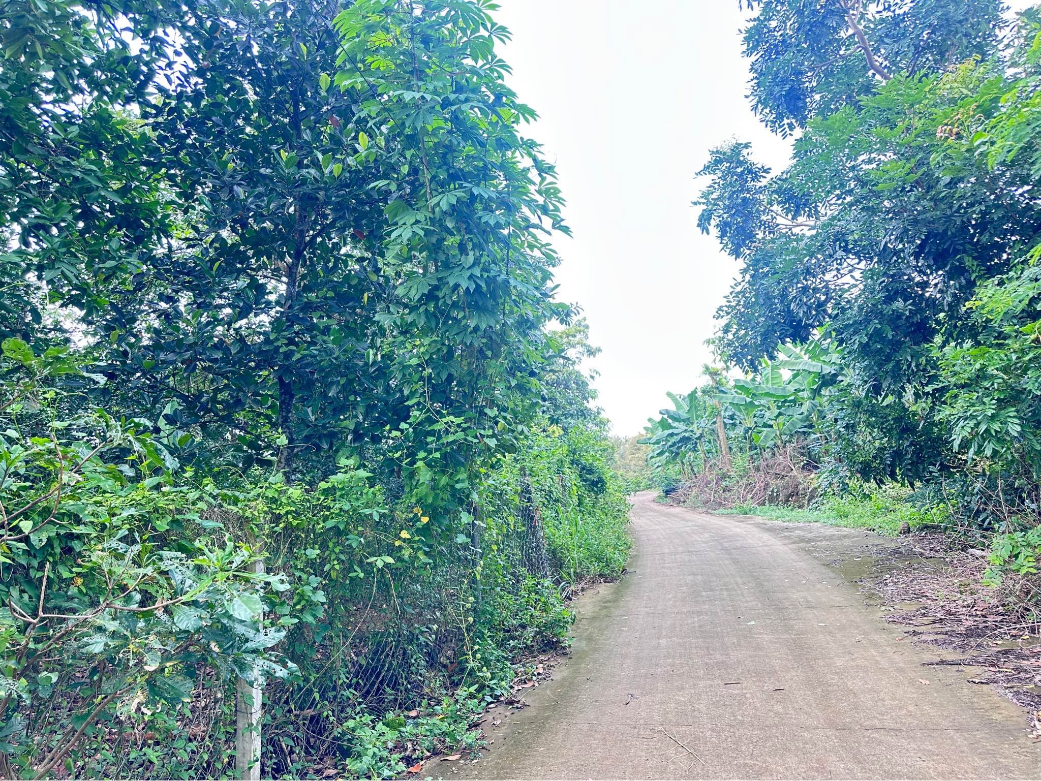 Bán 2000m² đất Trạng Bom Đồng Nai giá 1 tỷ 9 - Ảnh thu nhỏ 3