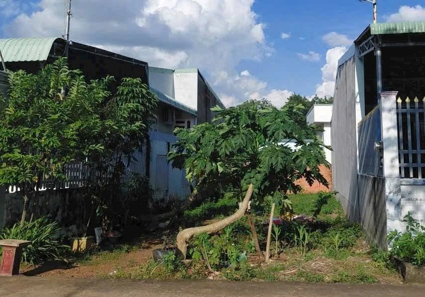 Bán đất 1432 m² Phường Đồng Xoài, Bình Dương, giá 7 tỷ - Ảnh thu nhỏ 2