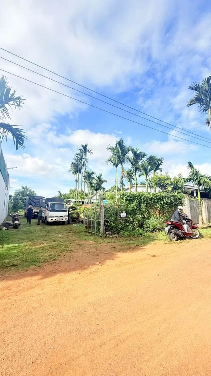Bán đất Km12 Tân An 145m2, giá 1,19 tỷ - Ảnh thu nhỏ 3