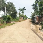 Bán đất nền 50m² Hóc Môn, giá 500 triệu - Ảnh thu nhỏ 4