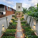 Bán nhà phố 184.5m2 Bình Chánh, gần chợ Phú Thọ - 4.55 tỷ - Ảnh thu nhỏ 3