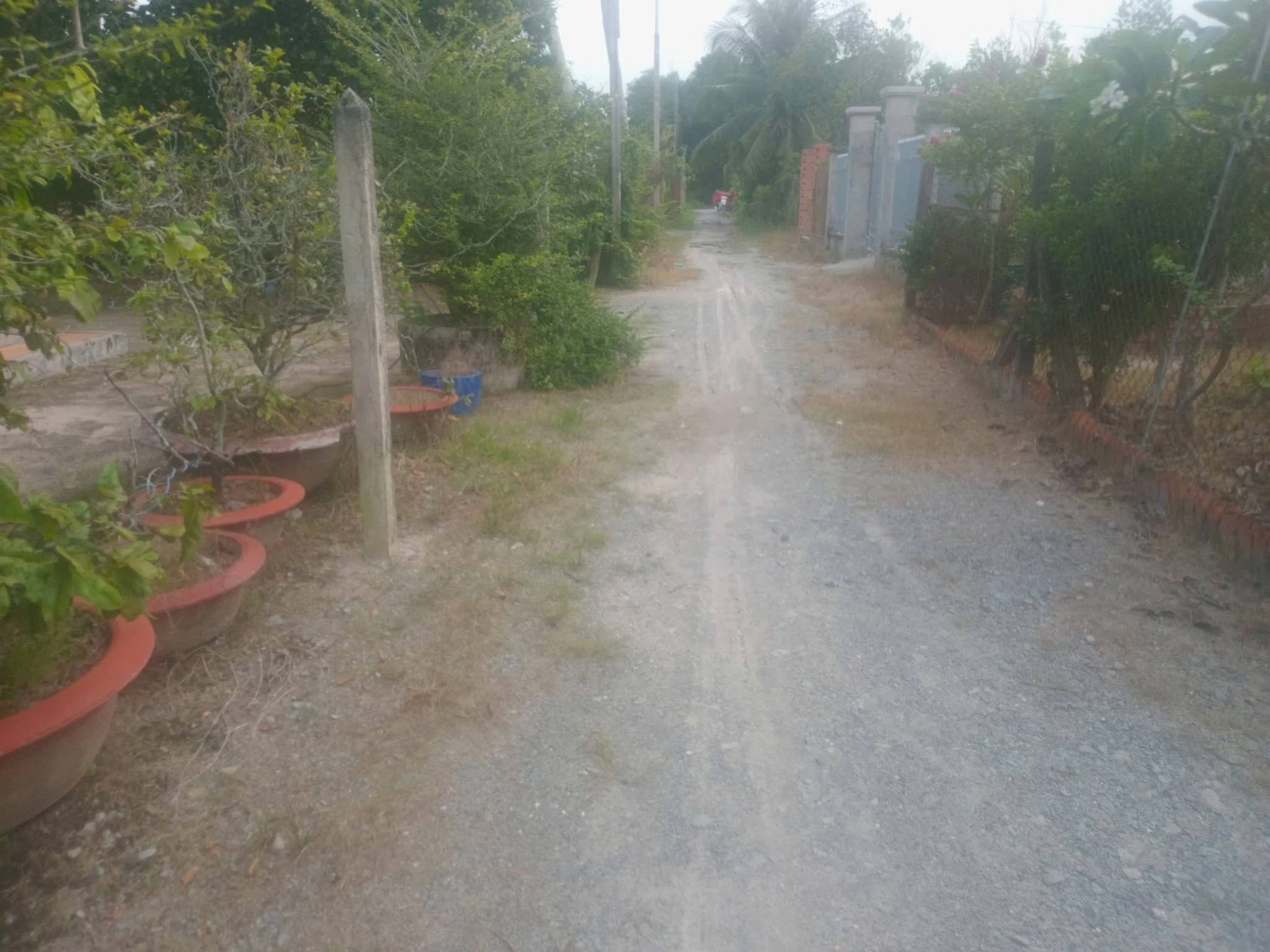 Bán đất vườn 450m² ngang 15m, Long Hoa, Tây Ninh - Ảnh 1