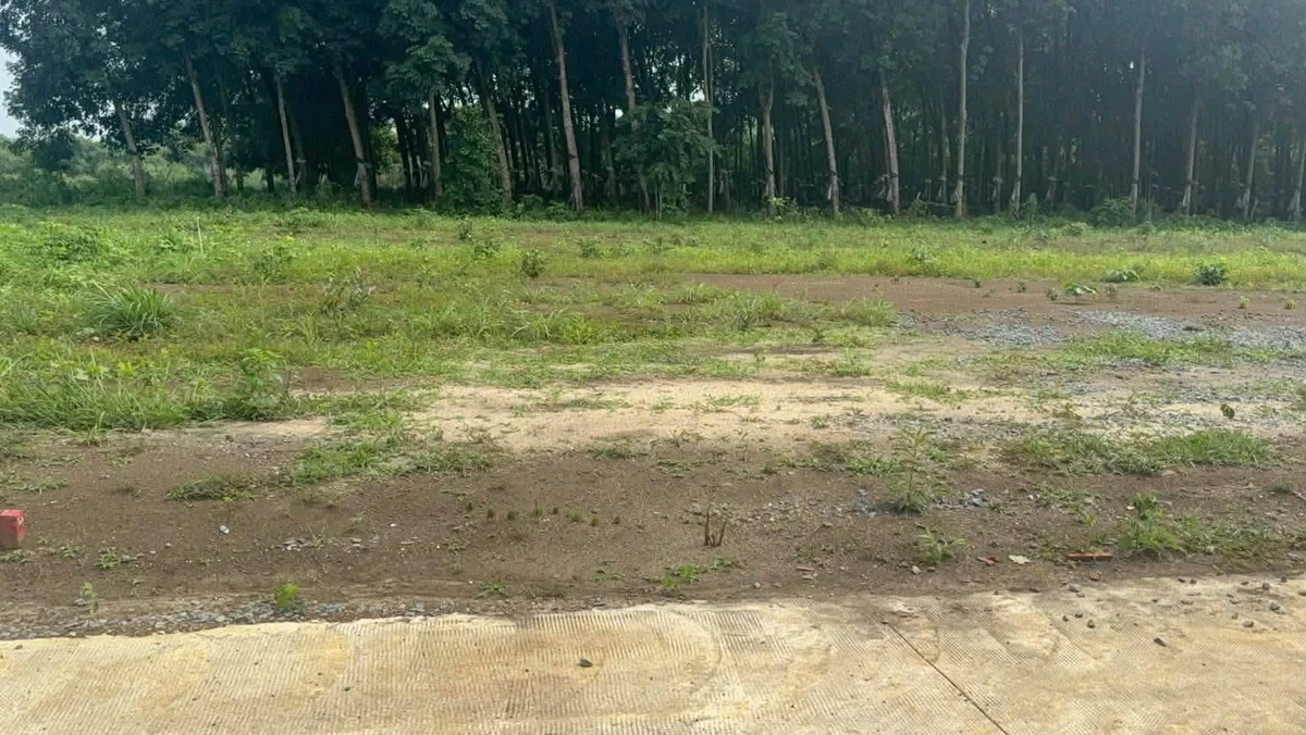 Bán đất nền 300m2, Phường An Lộc, Đồng Nai 149 triệu - Ảnh thu nhỏ 2