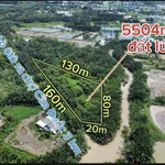 Bán lô đất 5504m2 mặt tiền đê bao Cần Dước - Ảnh thu nhỏ 4